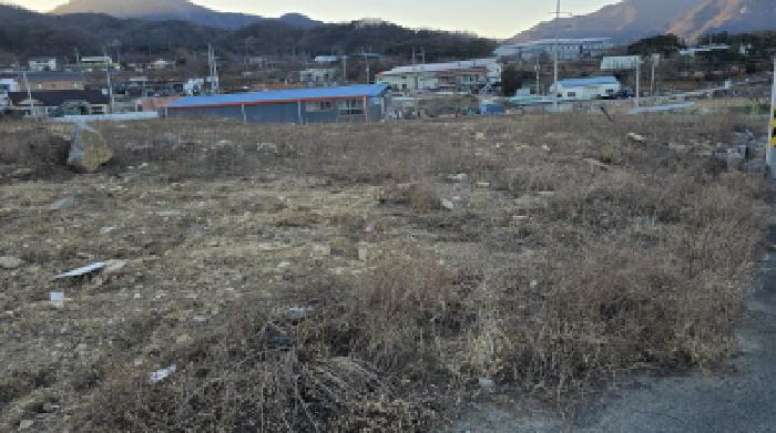 법원경매 2024타경129016 사진33 | 칠곡군 북삼읍 어로리 427-5 답 경매