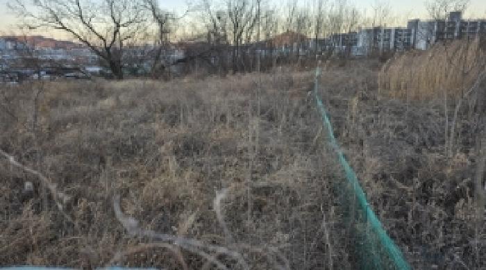 법원경매 2024타경129016 사진35 | 칠곡군 북삼읍 어로리 427-5 답 경매