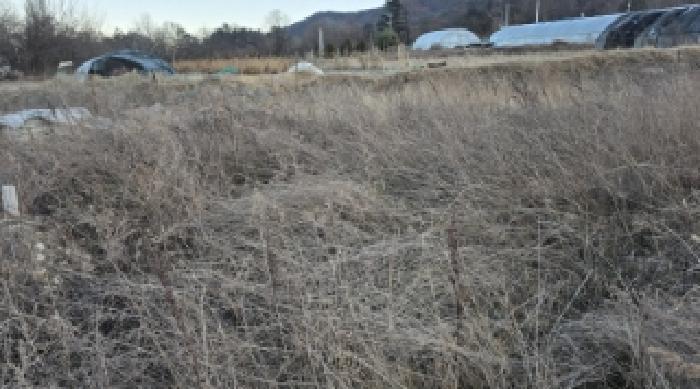 법원경매 2024타경129016 사진41 | 칠곡군 북삼읍 어로리 427-5 답 경매