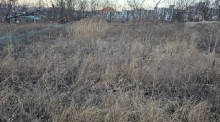 법원경매 2024타경129016 사진44 | 칠곡군 북삼읍 어로리 427-5 답 경매