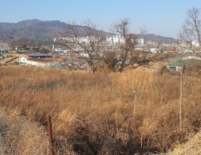 법원경매 2024타경129016 사진7 | 칠곡군 북삼읍 어로리 427-5 답 경매