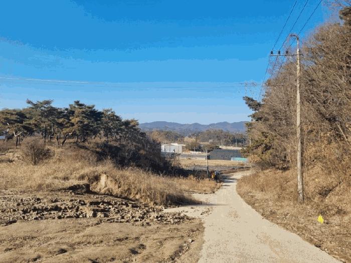 2025타경504045 법원경매 사진2 | 세종 연기면 임야 경매