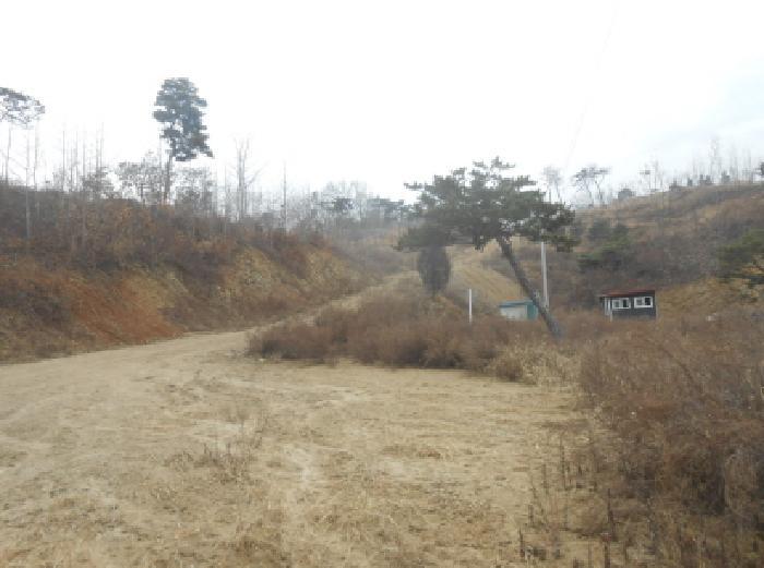 2025타경504045 법원경매 사진5 | 세종 연기면 임야 경매