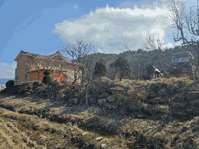 2025타경252 법원경매 사진3 | 충남 보령시 대지 경매