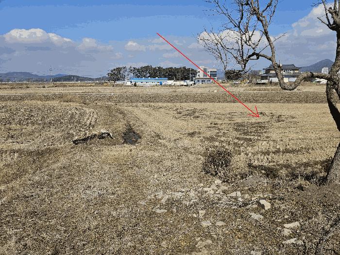 2025타경252 법원경매 사진5 | 충남 보령시 대지 경매