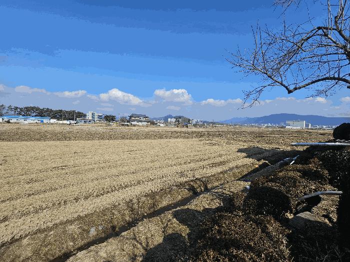 2025타경252 법원경매 사진8 | 충남 보령시 대지 경매