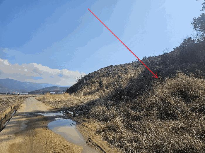 2025타경252 법원경매 사진4 | 충남 보령시 임야 경매