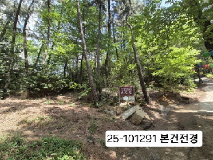 법원경매 2025타경101291 사진7 | 부산 사상구 모라동 임야 경매