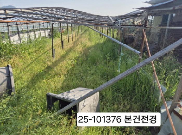 법원경매 2025타경101376 사진7 | 부산 강서구 강동동 498-5 답 경매