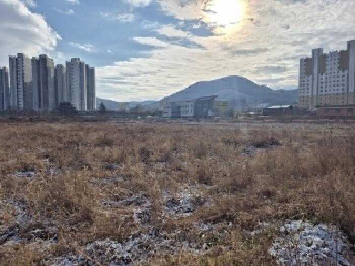 2025타경7036 법원경매 사진3 | 전남 장성군 답 경매