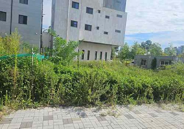법원경매 2025타경809 사진6 | 평택시 고덕동 2576-1 대지 경매