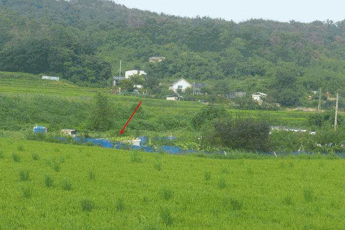 경상북도 경주시 양남면 상계리 235 법원경매 물건 대표사진