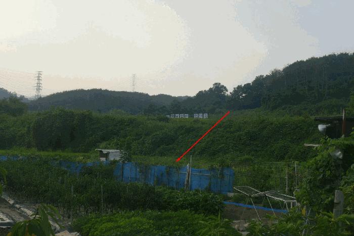 2025타경10617 법원경매 사진2 | 경북 경주시 답 경매