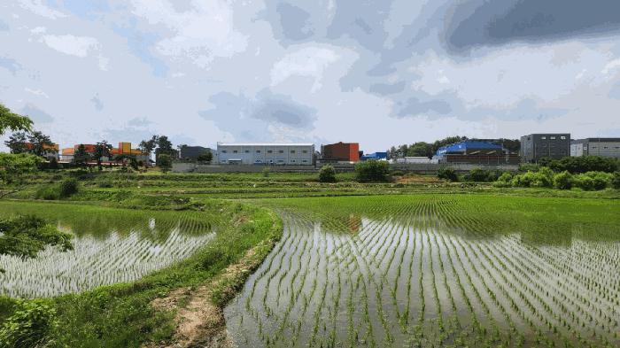 2025타경499 법원경매 사진4 | 충남 아산시 답 경매