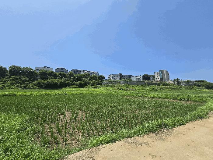 경기도 평택시 안중읍 안중리 98-1 법원경매 물건 대표사진