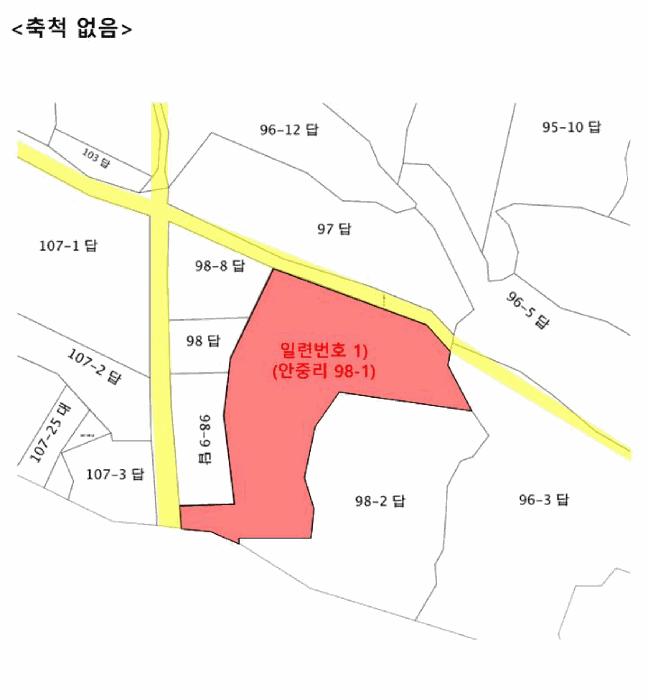 법원경매 2025타경42183 사진13 | 평택시 안중읍 안중리 98-1 답 경매