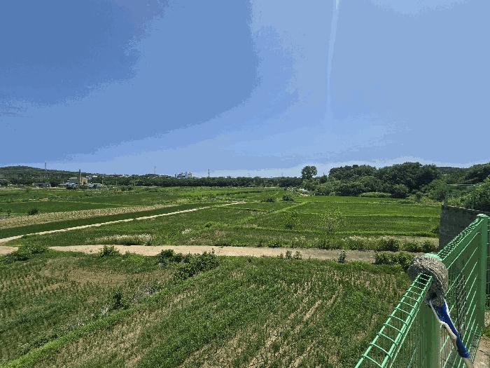 법원경매 2025타경42183 사진4 | 평택시 안중읍 안중리 98-1 답 경매