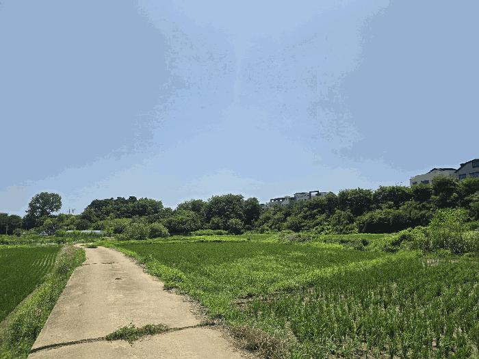 법원경매 2025타경42183 사진5 | 평택시 안중읍 안중리 98-1 답 경매