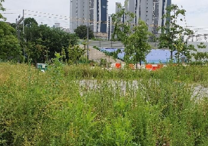 법원경매 2025타경42249 사진5 | 평택시 고덕동 2029-6 대지 경매