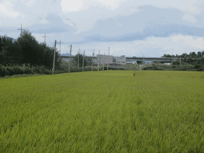 2025타경33903 법원경매 사진24 | 전남 나주시 답 경매