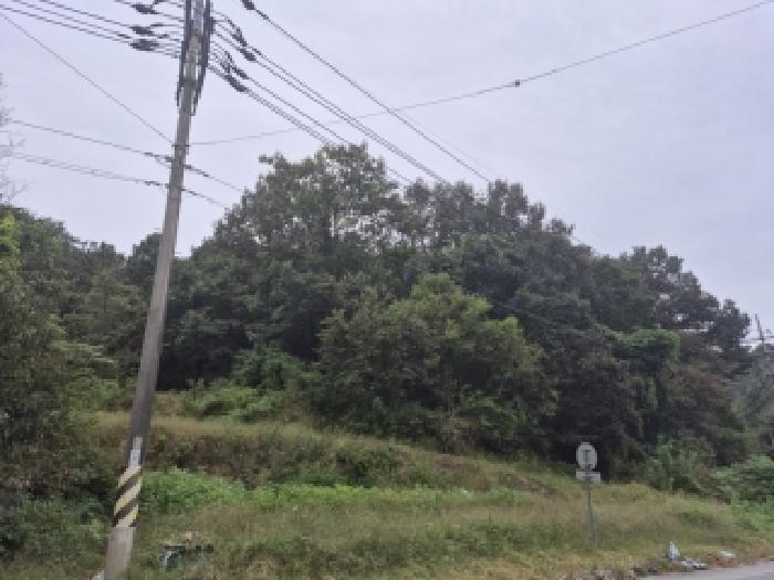 2025타경33903 법원경매 사진58 | 전남 나주시 답 경매