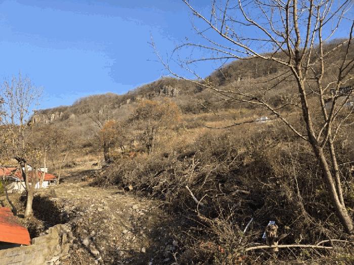 2025타경34432 법원경매 사진9 | 전남 화순군 대지 경매