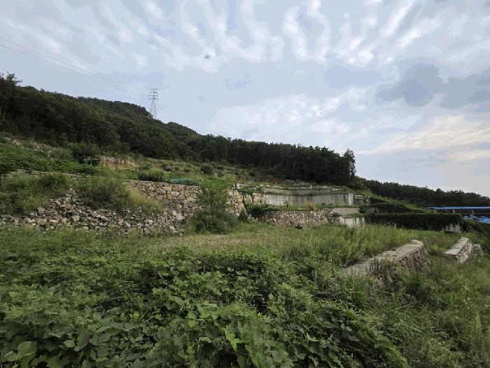 경남 창원시 진해구 두동 산297-28 임야 사진 3