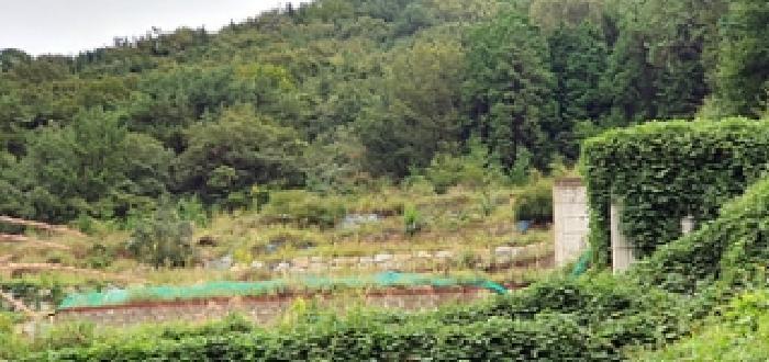 2025타경12133 법원경매 사진7 | 창원 진해구 임야 경매