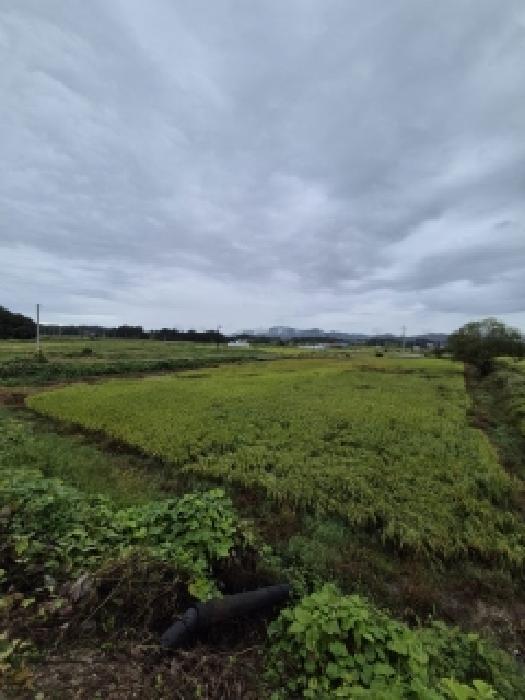 전라남도 곡성군 겸면 산정리 287-3 법원경매 물건 대표사진
