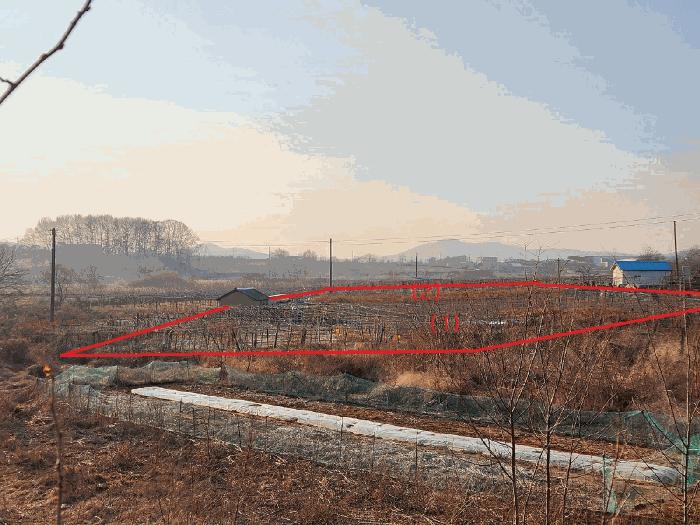2025타경12703 법원경매 사진5 | 천안 서북구 기타 경매