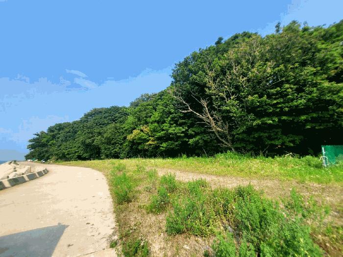 법원경매 2025타경52735 사진4 | 안산시 단원구 풍도동 임야 경매