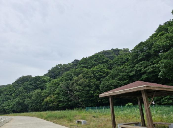 법원경매 2025타경52735 사진8 | 안산시 단원구 풍도동 임야 경매