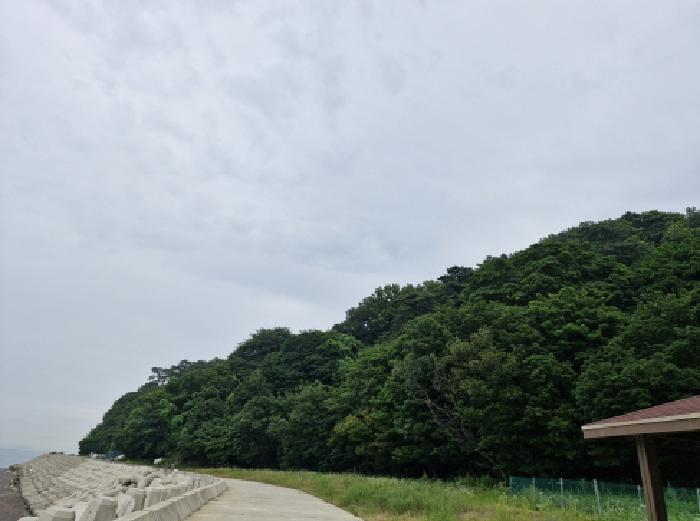 법원경매 2025타경52735 사진9 | 안산시 단원구 풍도동 임야 경매