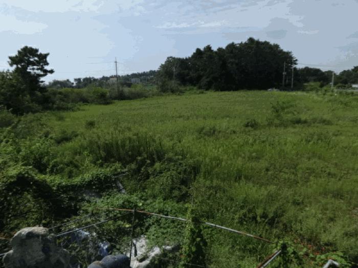 법원경매 2025타경53116 사진21 | 안산시 단원구 대부남동 46 전답 경매