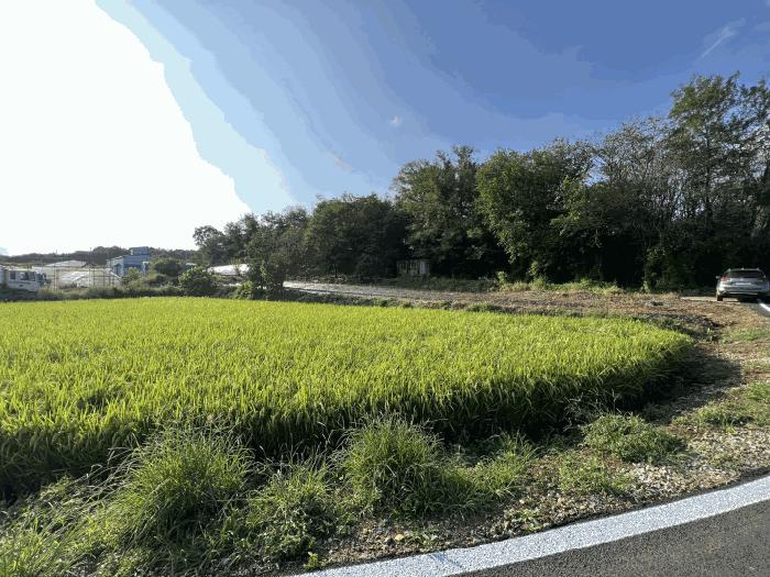 충남 당진시 송악읍 중흥리 627-1 답 경매 물건 사진