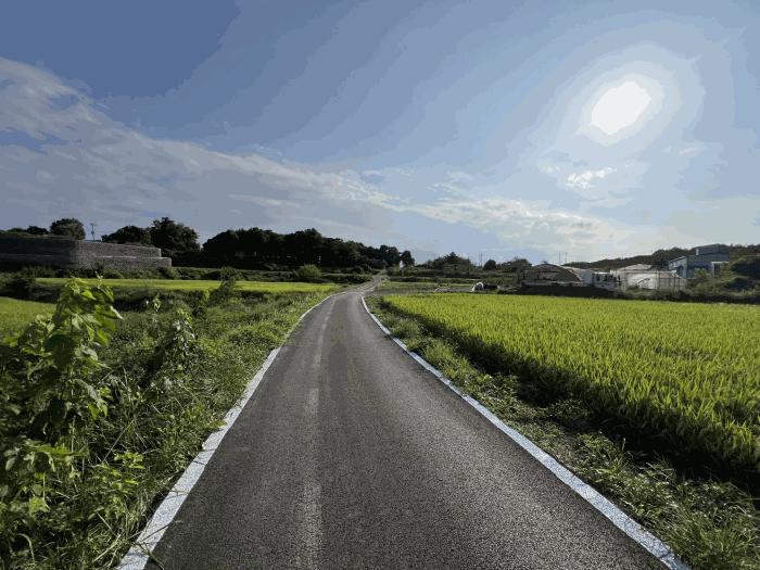 충남 당진시 송악읍 중흥리 627-1 답 사진 6
