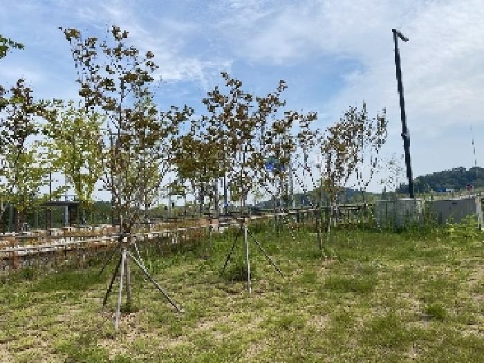 2025타경51555 법원경매 사진22 | 충남 당진시 전 경매