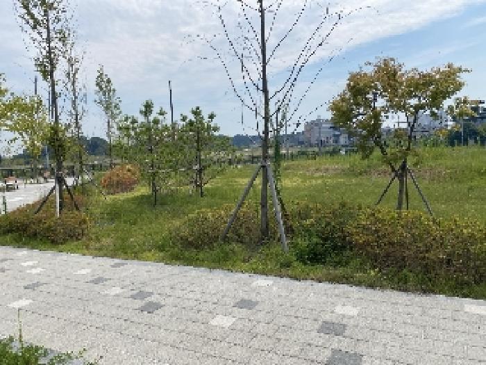 2025타경51555 법원경매 사진30 | 충남 당진시 전 경매