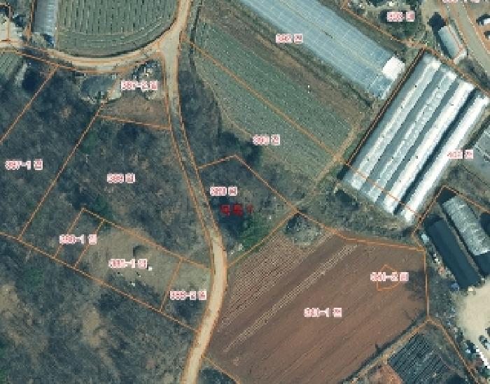 2025타경51651 법원경매 사진3 | 충남 태안군 임야 경매