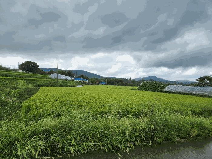 충청남도 서산시 운산면 용장리 543-6 법원경매 물건 대표사진