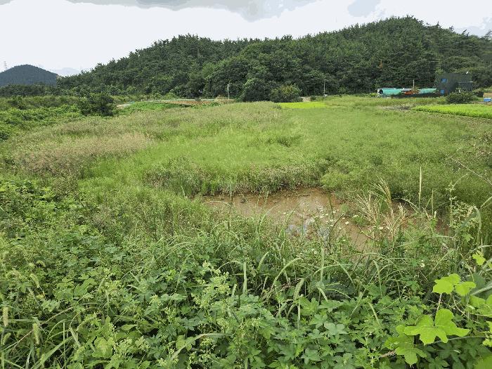 2025타경51693 법원경매 사진8 | 충남 태안군 잡종지 경매