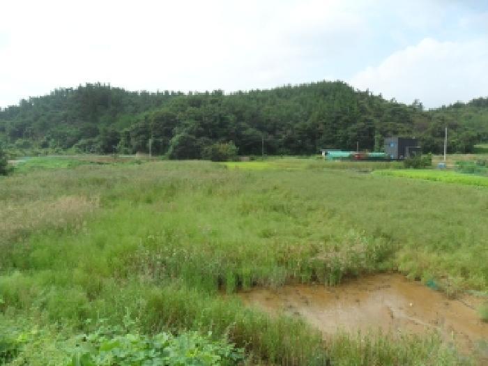 2025타경51693 법원경매 사진12 | 충남 서산시 답 경매