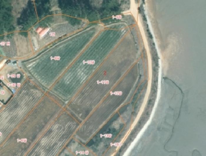 2025타경51693 법원경매 사진14 | 충남 서산시 답 경매