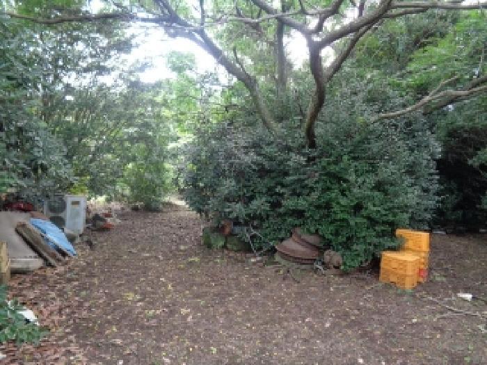 2025타경1567 법원경매 사진32 | 제주 제주시 과수원 경매
