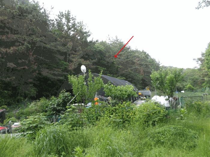 2025타경509290 법원경매 사진3 | 인천 중구 임야 경매