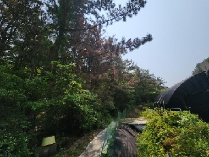 2025타경509290 법원경매 사진6 | 인천 중구 임야 경매