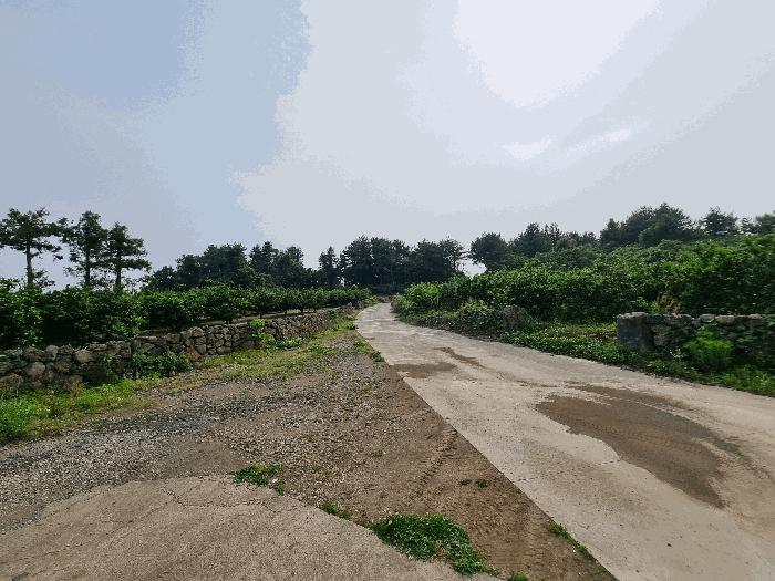 2025타경8109 법원경매 사진6 | 제주 서귀포시 전 경매