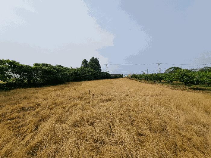 2025타경8109 법원경매 사진7 | 제주 서귀포시 전 경매