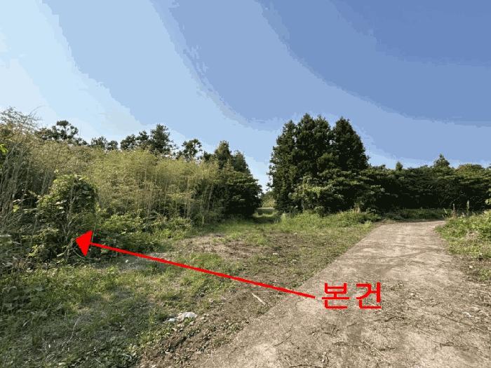 법원경매 2025타경8119 사진3 | 서귀포시 표선면 가시리 2658-2 임야 경매