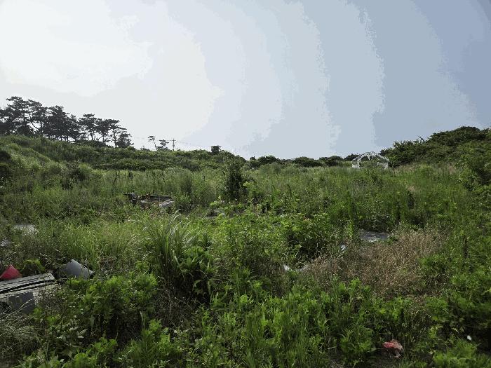 제주특별자치도 제주시 애월읍 애월리 1919 법원경매 물건 대표사진